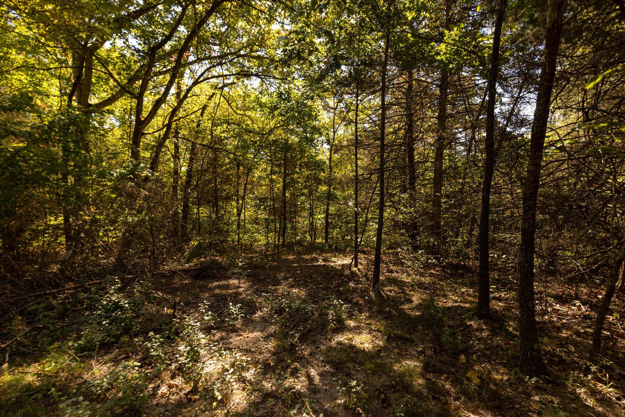 0 Watts Road Rogersville, MO 65742 - Photo 34 of 51 34-HT9A5663