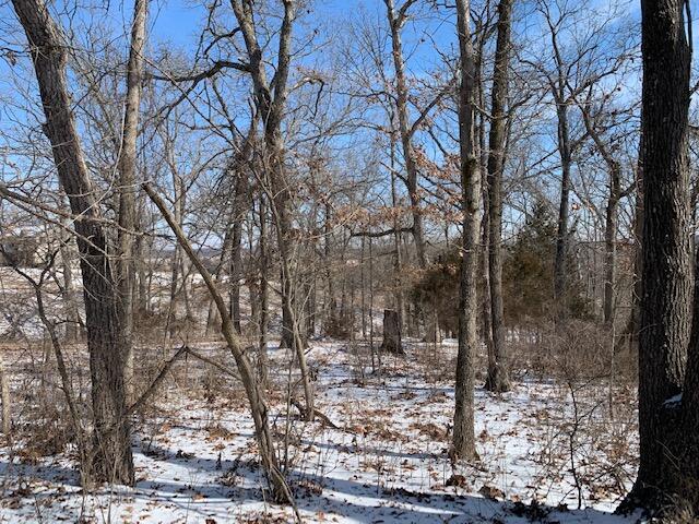 0 Wester Bluff Road Fordland, MO 65652 - Photo 1 of 1 IMG_6516