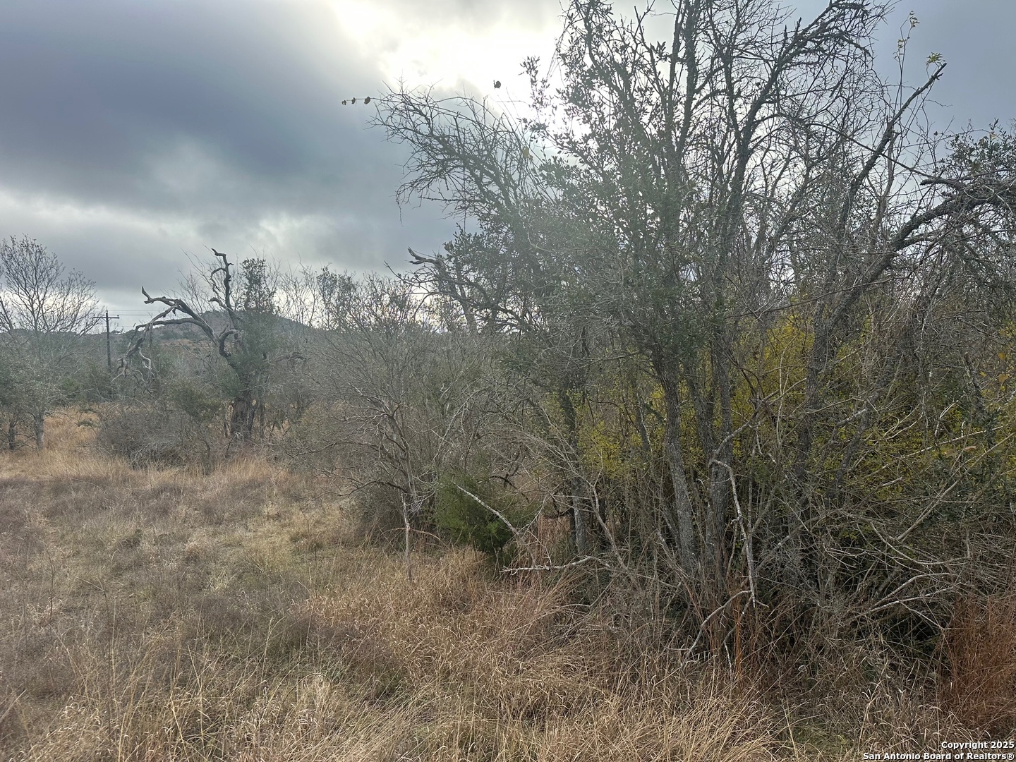 119 Platten Creek Road Boerne, TX 78006 - Photo 2 of 9