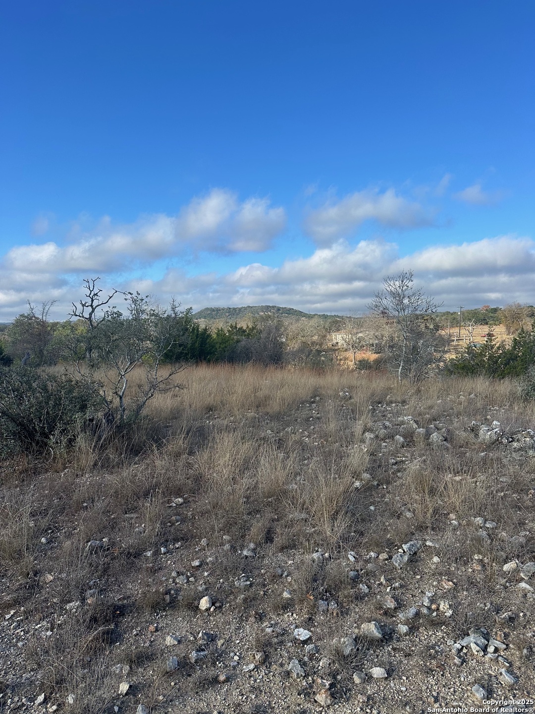 119 Platten Creek Road Boerne, TX 78006 - Photo 5 of 9