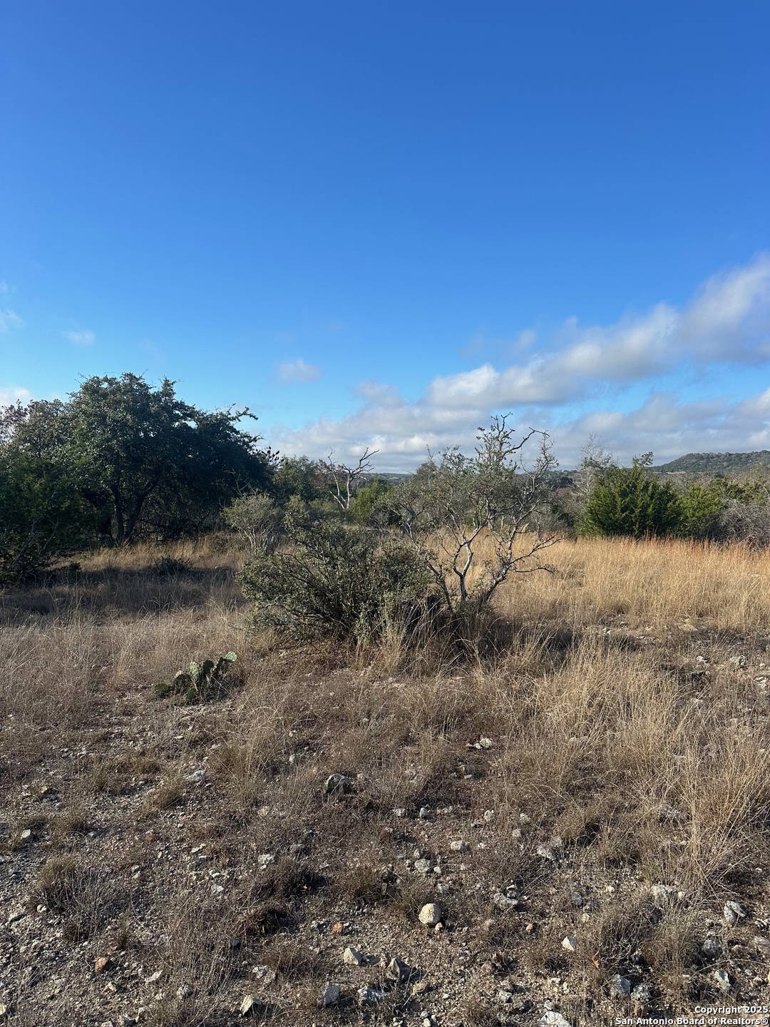 119 Platten Creek Road Boerne, TX 78006 - Photo 6 of 9