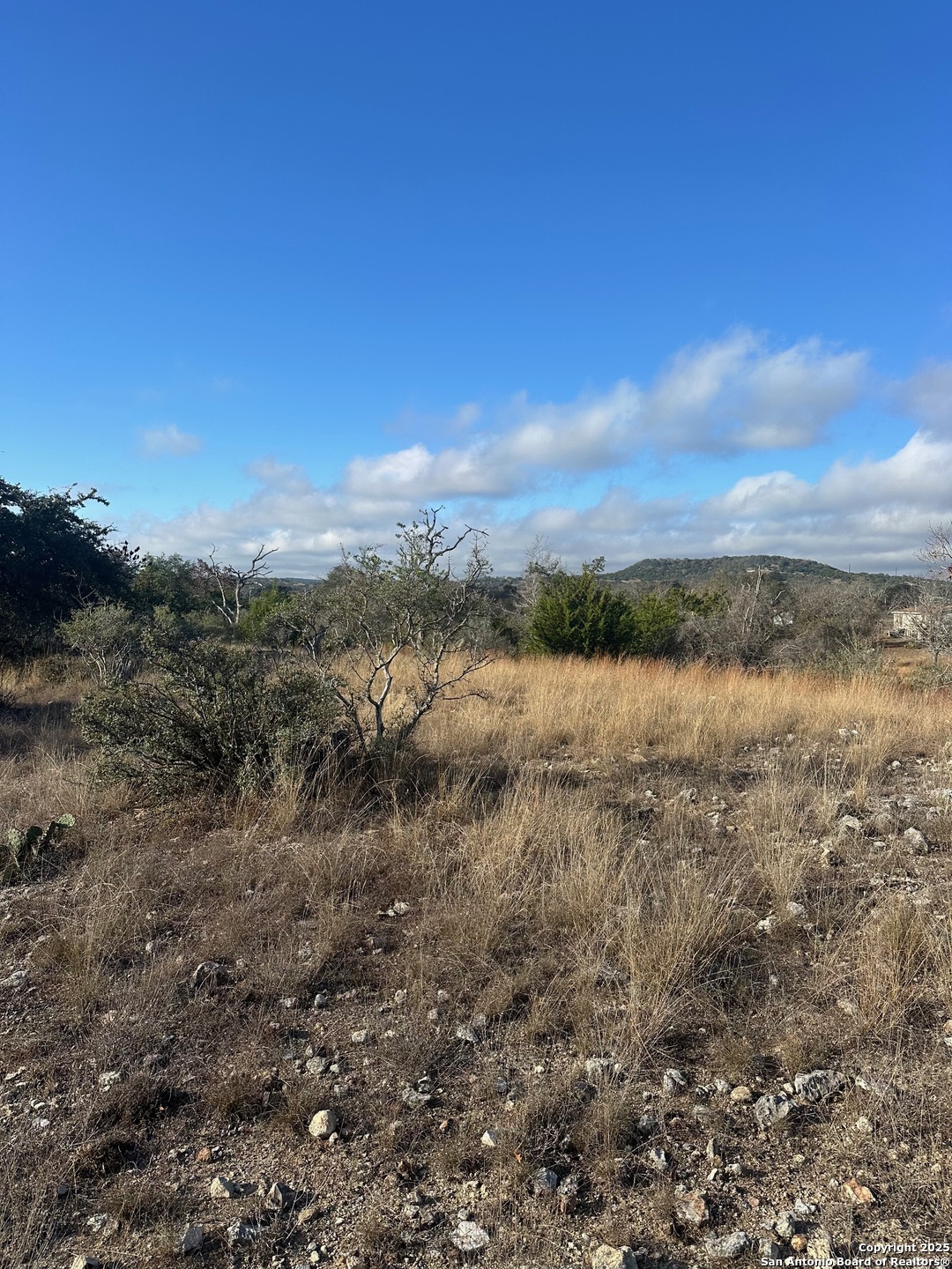 119 Platten Creek Road Boerne, TX 78006 - Photo 7 of 9