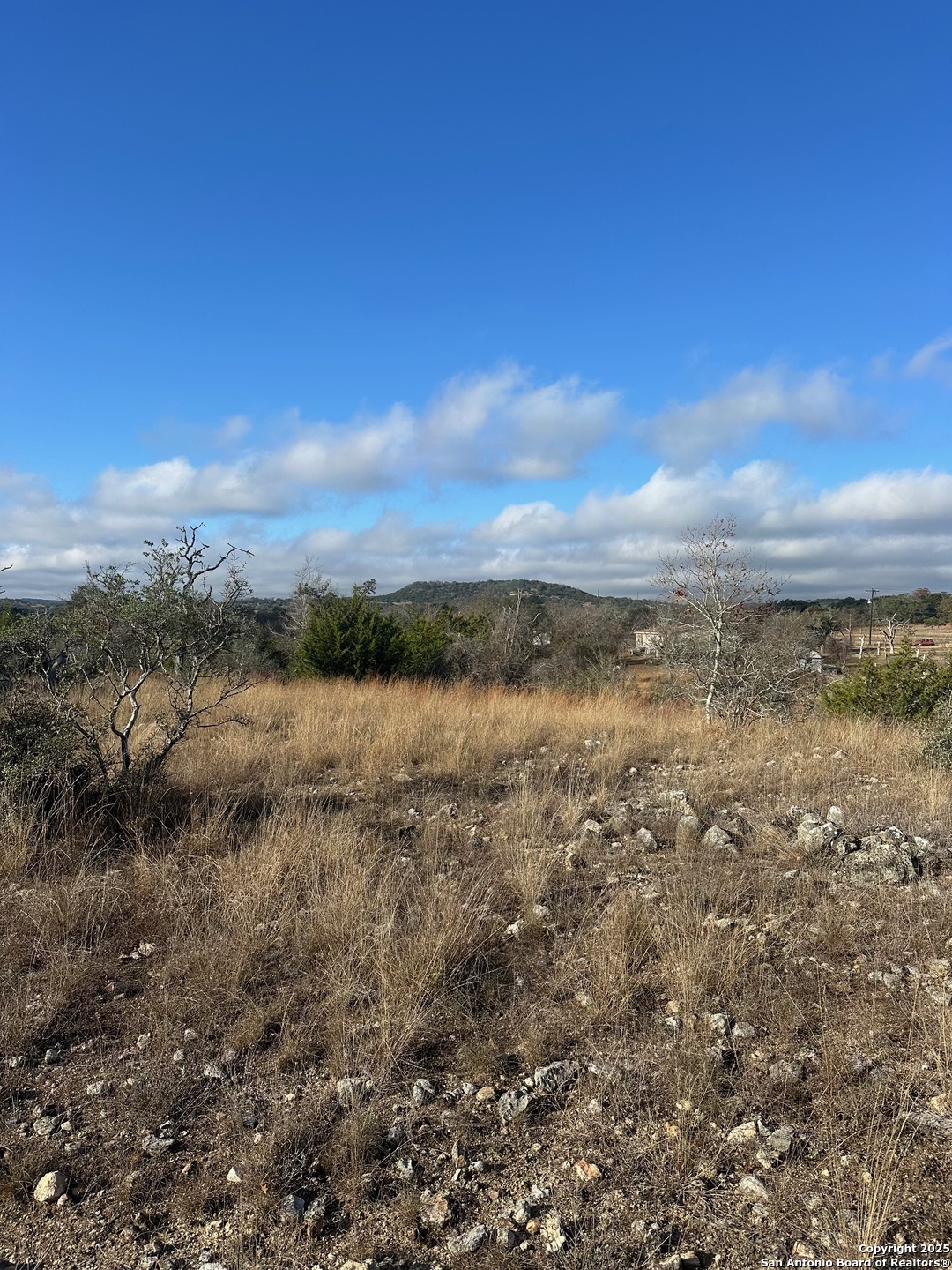 119 Platten Creek Road Boerne, TX 78006 - Photo 8 of 9