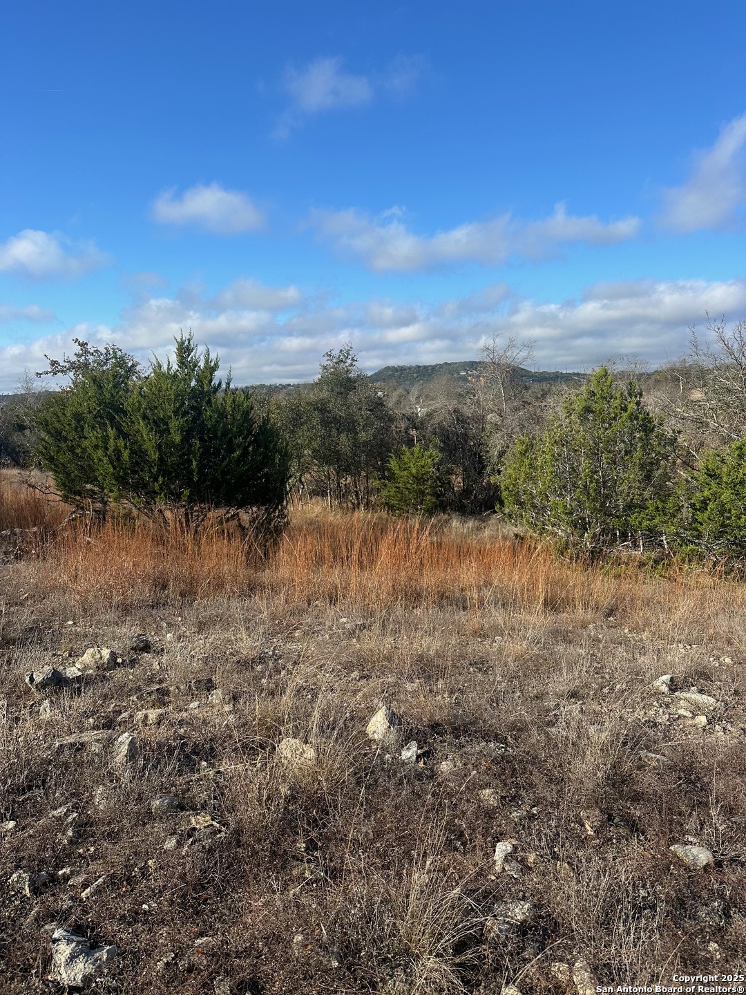 119 Platten Creek Road Boerne, TX 78006 - Photo 9 of 9