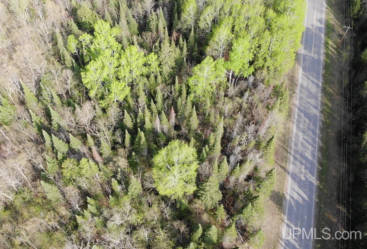 Tbdfg Dog Patch Road, Unit LOT F AND G Lanse, MI 49946 - Photo 7 of 17