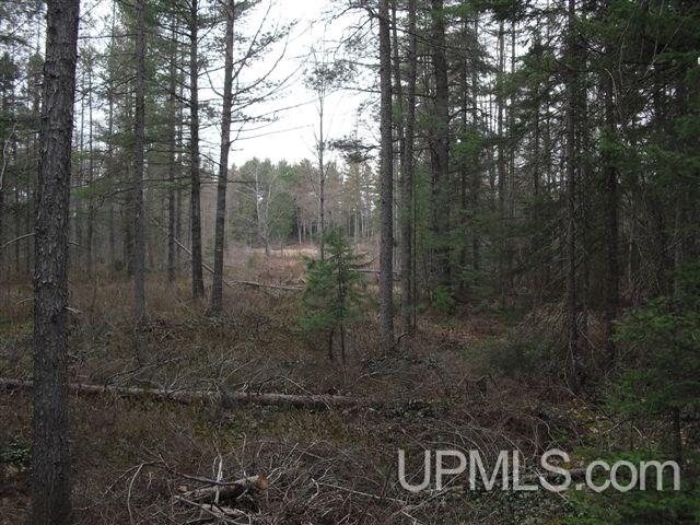N605 Long Lake Road Wetmore, MI 49895 - Photo 19 of 41 Gallery Image 19