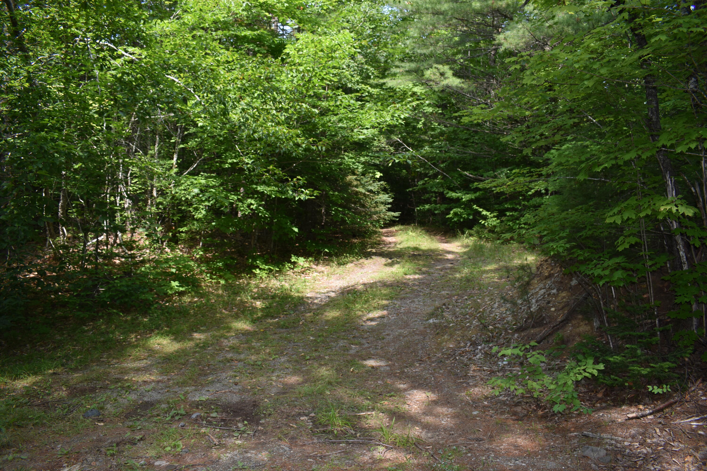 Off Off North Road Lee, ME 04455 - Photo 4 of 13 DSC_0029