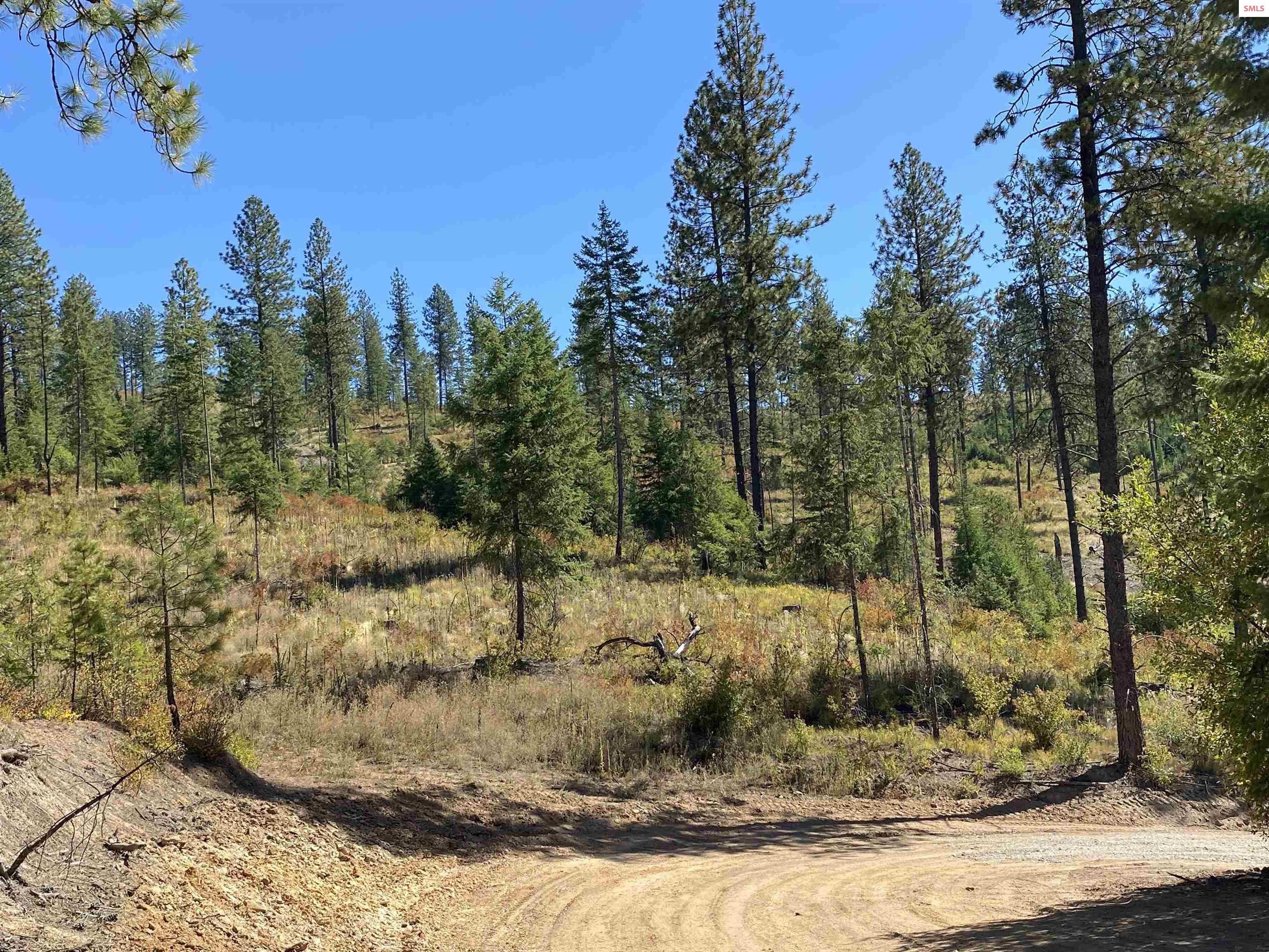 Nka Nka Stone Road Blanchard, ID 83804 - Photo 7 of 26 Gallery Image 7