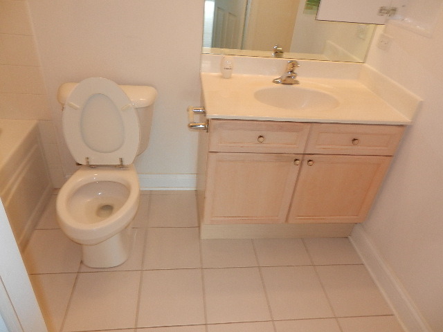 620 McHenry Road, Unit 303 Wheeling, IL 60090 - Photo 13 of 18 a bathroom with a sink a toilet and mirror