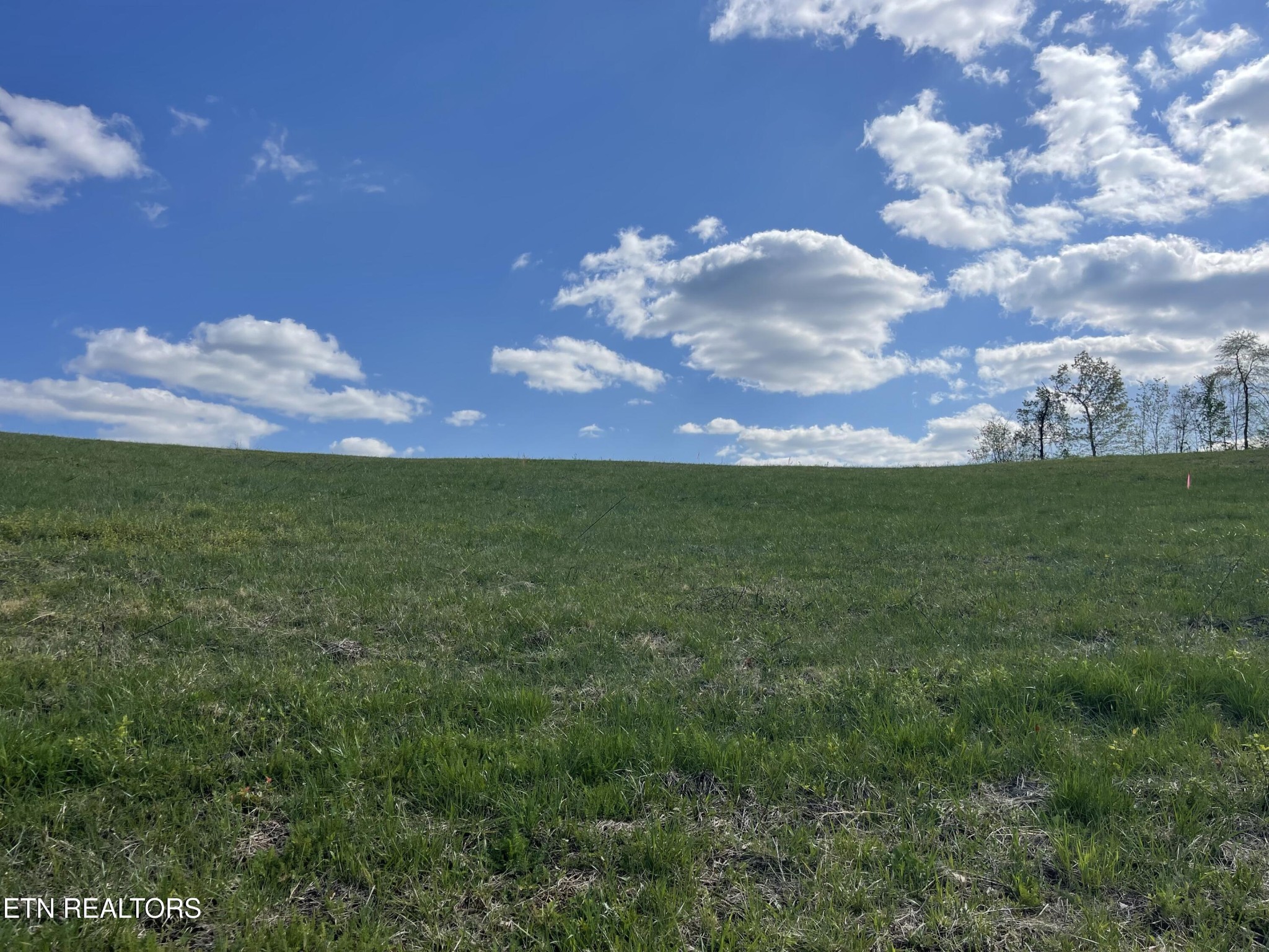 1 Laura Boling Loop Road Strawberry Plains, TN 37871 - Photo 1 of 1 Gallery Image 1