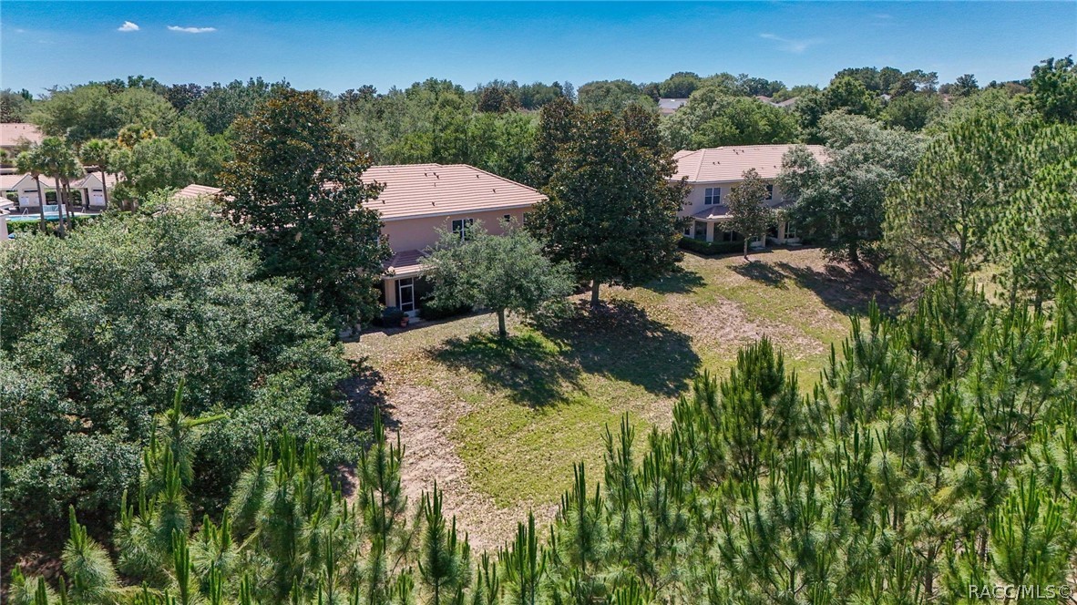 1598 West Spring Meadow Loop Lecanto, FL 34461 - Photo 43 of 74 Aerial Side Back View of Townhome
