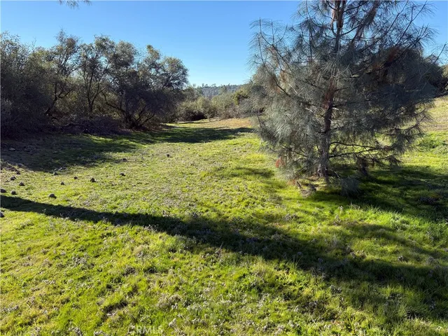 $169,000 | -37.88 Ac Flying O Ranch Road, Coarsegold, CA 93614