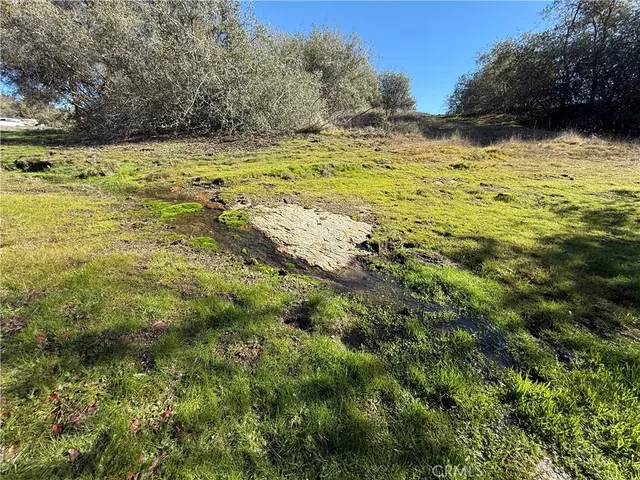 $169,000 | -37.88 Ac Flying O Ranch Road, Coarsegold, CA 93614