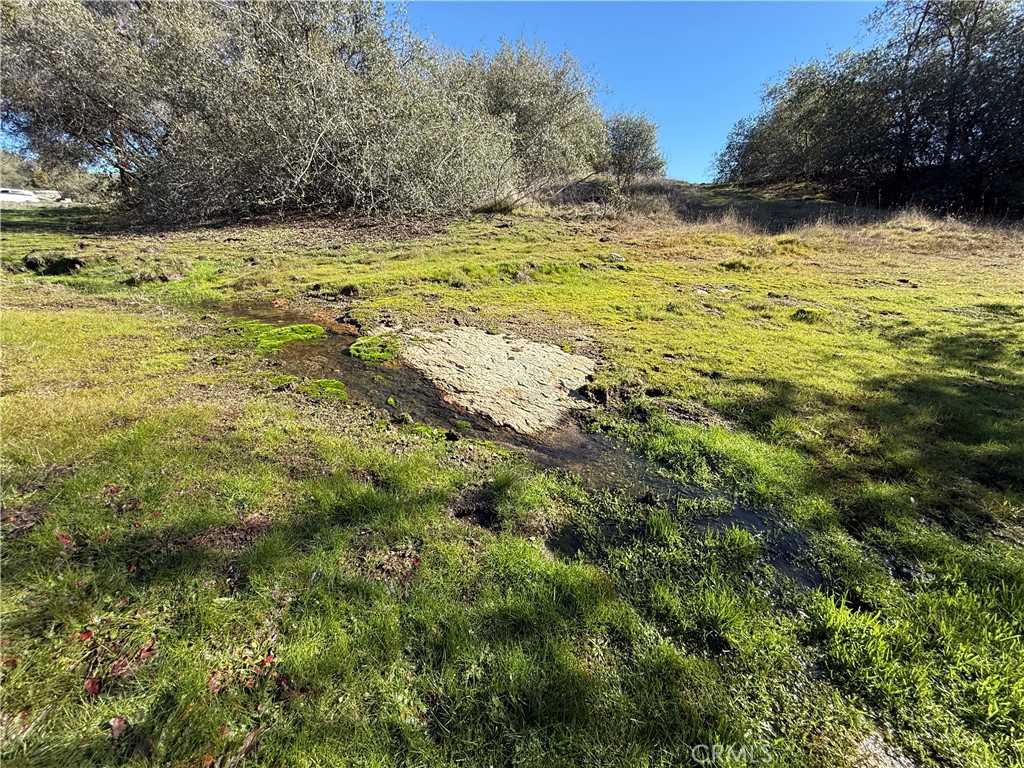 -37.88 Ac Flying O Ranch Road Coarsegold, CA 93614 - Photo 7 of 24 a view of a yard with a house