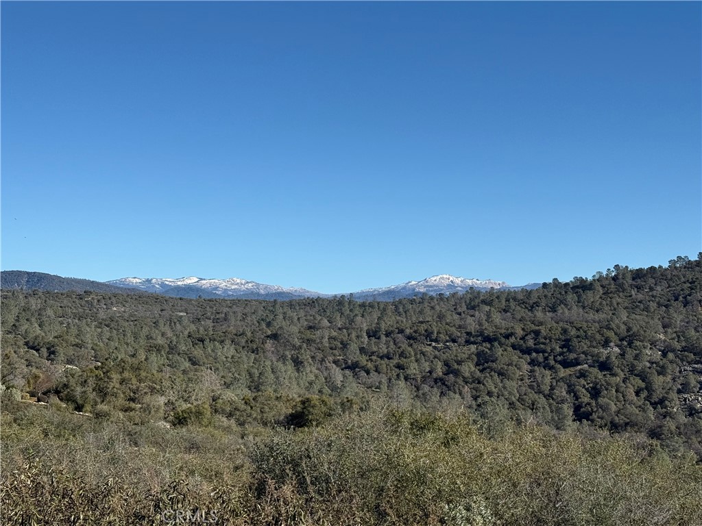 -37.88 Ac Flying O Ranch Road Coarsegold, CA 93614 - Photo 9 of 24 a view of a dry field