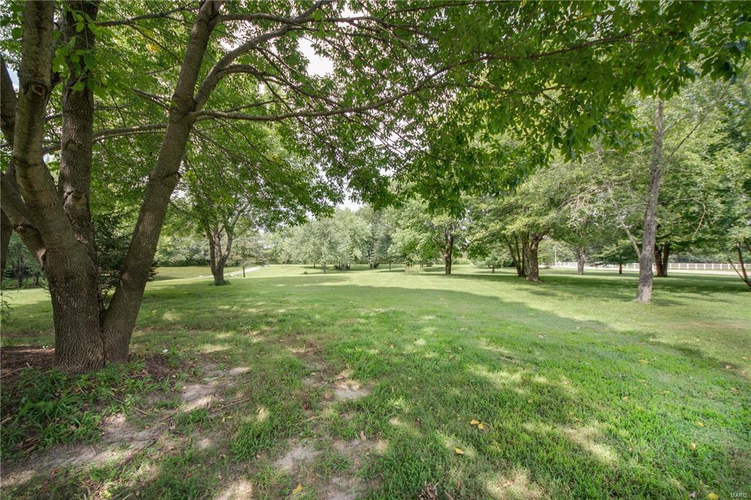 8745 Highway 159 Dorsey, IL 62021 - Photo 12 of 43