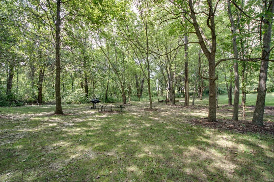 8745 Highway 159 Dorsey, IL 62021 - Photo 13 of 43