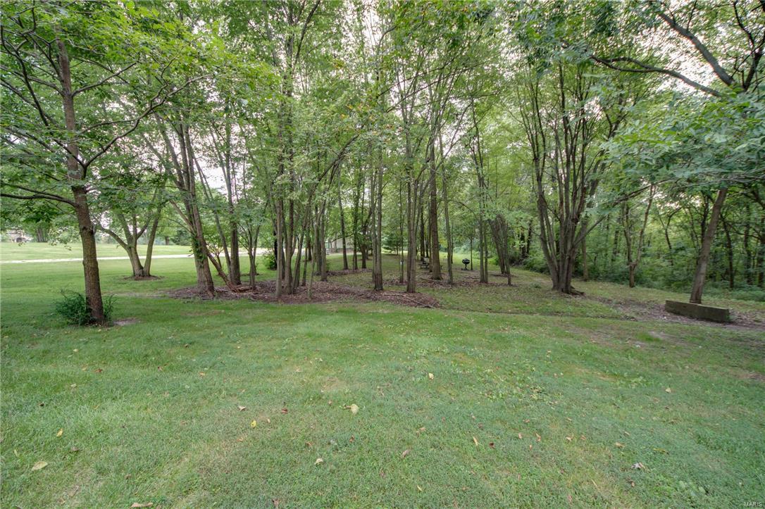 8745 Highway 159 Dorsey, IL 62021 - Photo 14 of 43