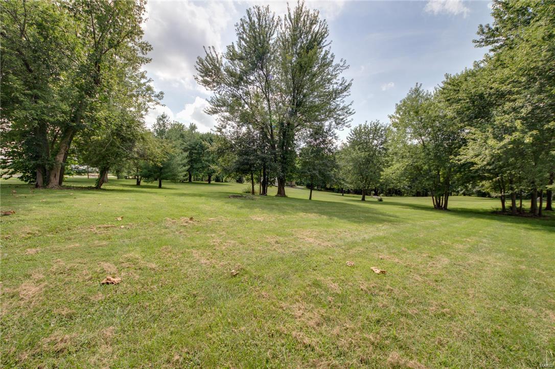 8745 Highway 159 Dorsey, IL 62021 - Photo 16 of 43