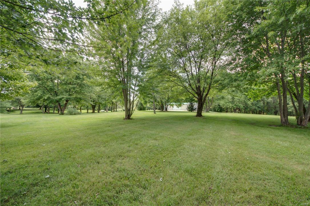 8745 Highway 159 Dorsey, IL 62021 - Photo 17 of 43