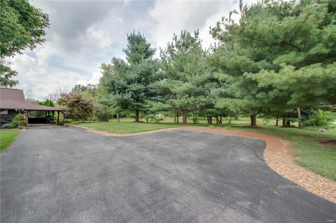 8745 Highway 159 Dorsey, IL 62021 - Photo 4 of 43
