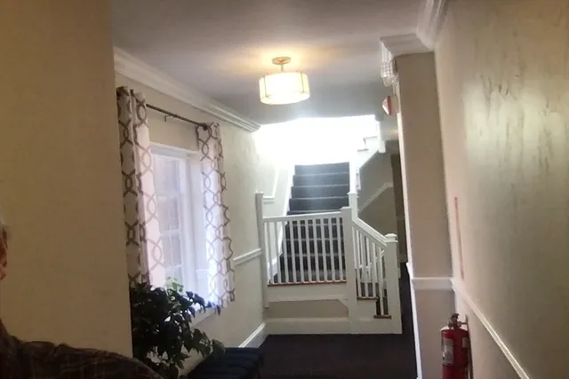 a view of staircase with wooden floor and a potted plant