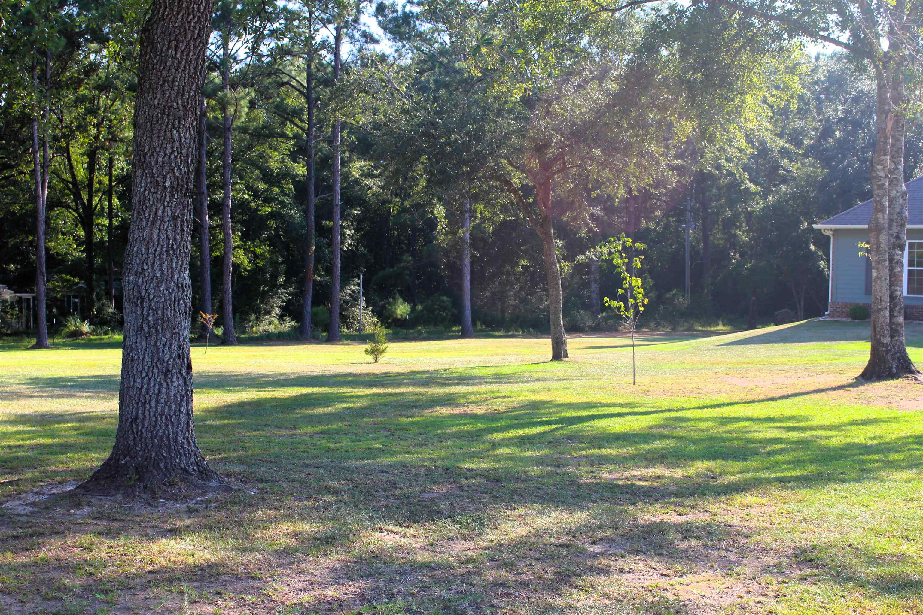 41416 Davis Duck Road Bay Minette, AL 36507 - Photo 72 of 72 Yard