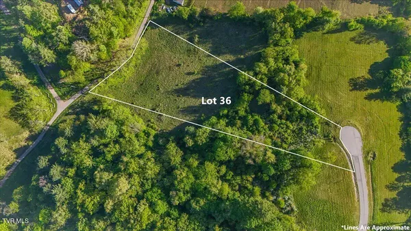 $154,500 | Tbd Tbd Golden Eagle Mountain, Unit 36, Butler, TN 37640