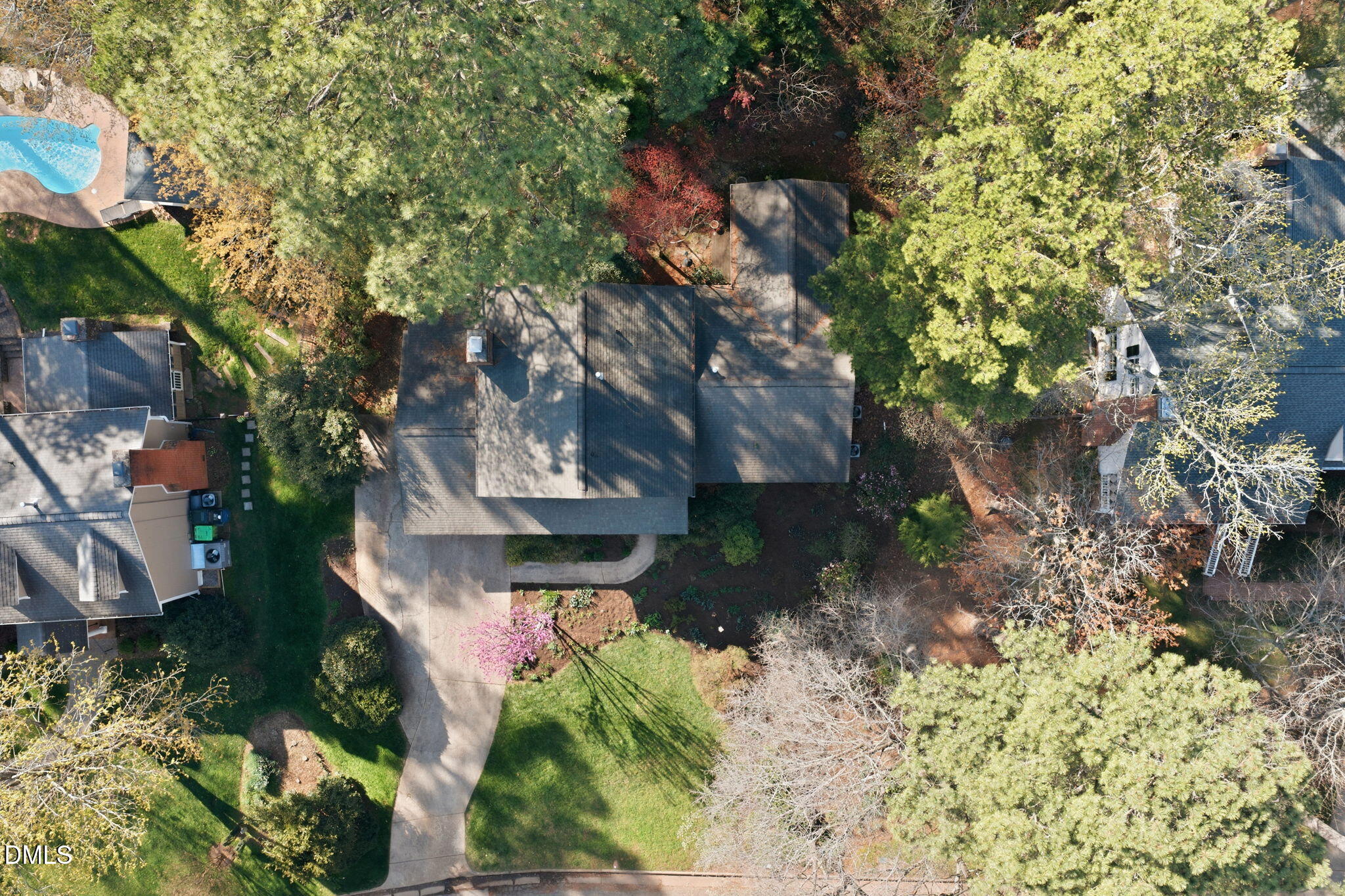 1513 Dellwood Drive Raleigh, NC 27607 - Photo 67 of 76 a view of a tree with a yard