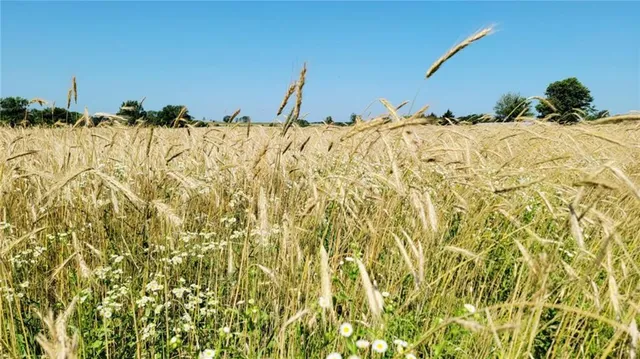 $800,000 | 0 Ks Highway, Lacygne, KS 66040