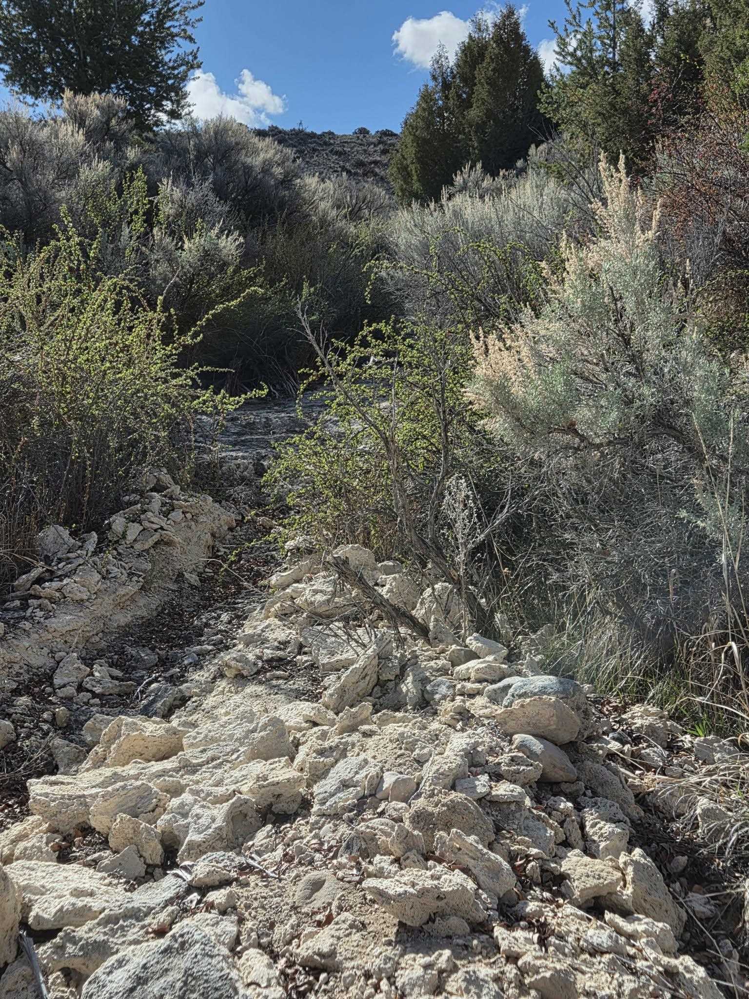 183 Bald Mountain Road Dubois, WY 82513 - Photo 40 of 48