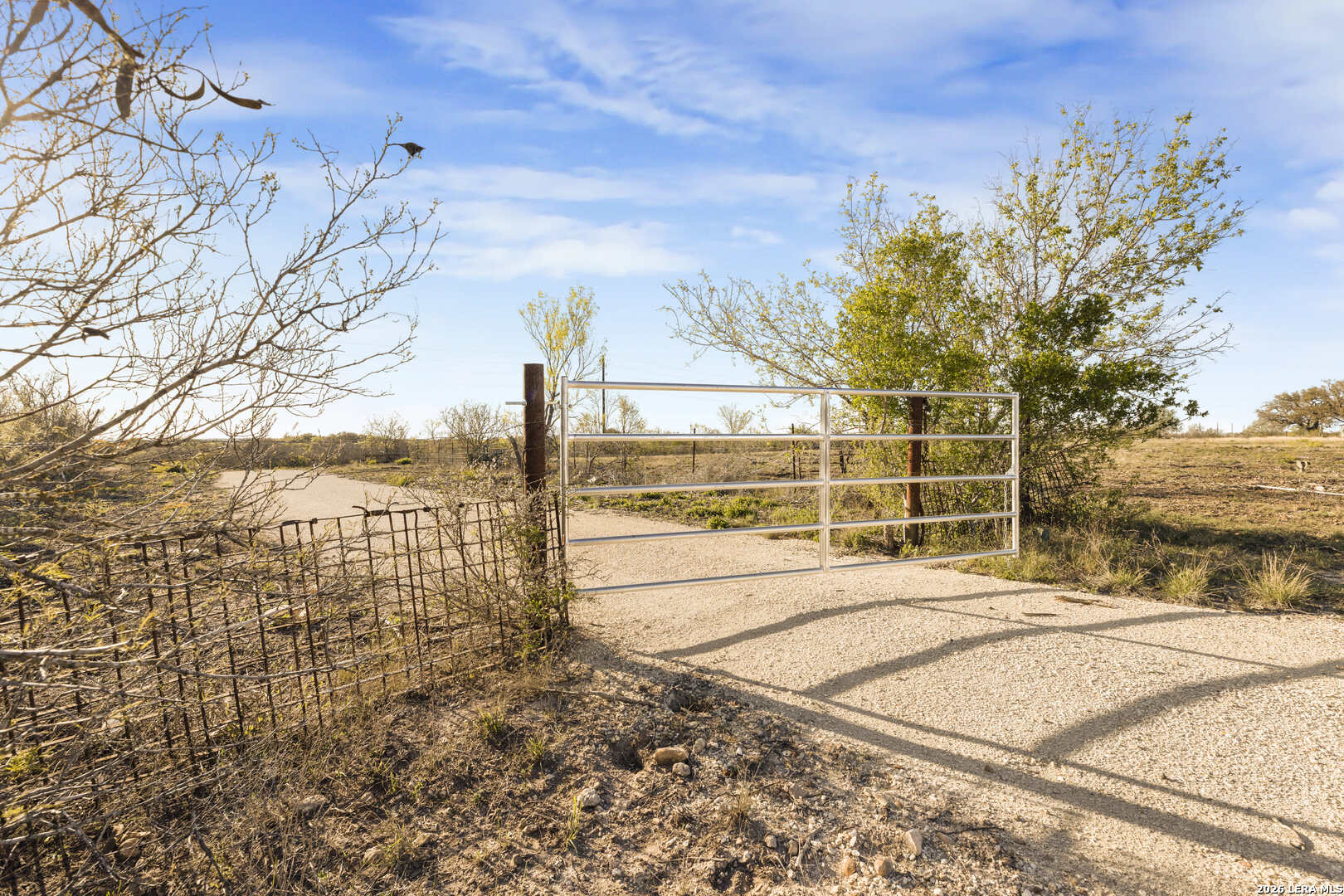 2811 County Road 467 Devine, TX 78016 - Photo 6 of 28 a view of a backyard