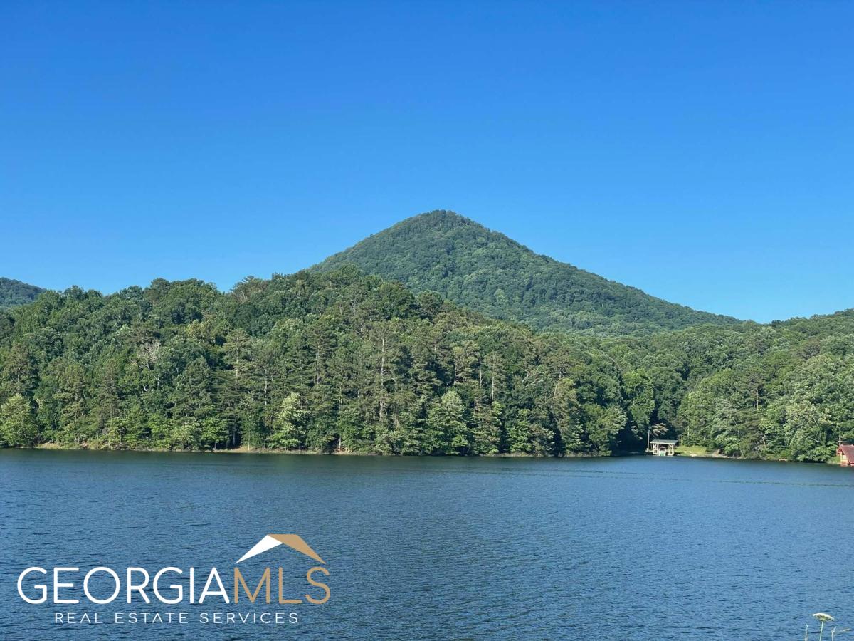 1 Lakeshore Drive Road Jasper, GA 30143 - Photo 1 of 1 a view of a lake with mountain view
