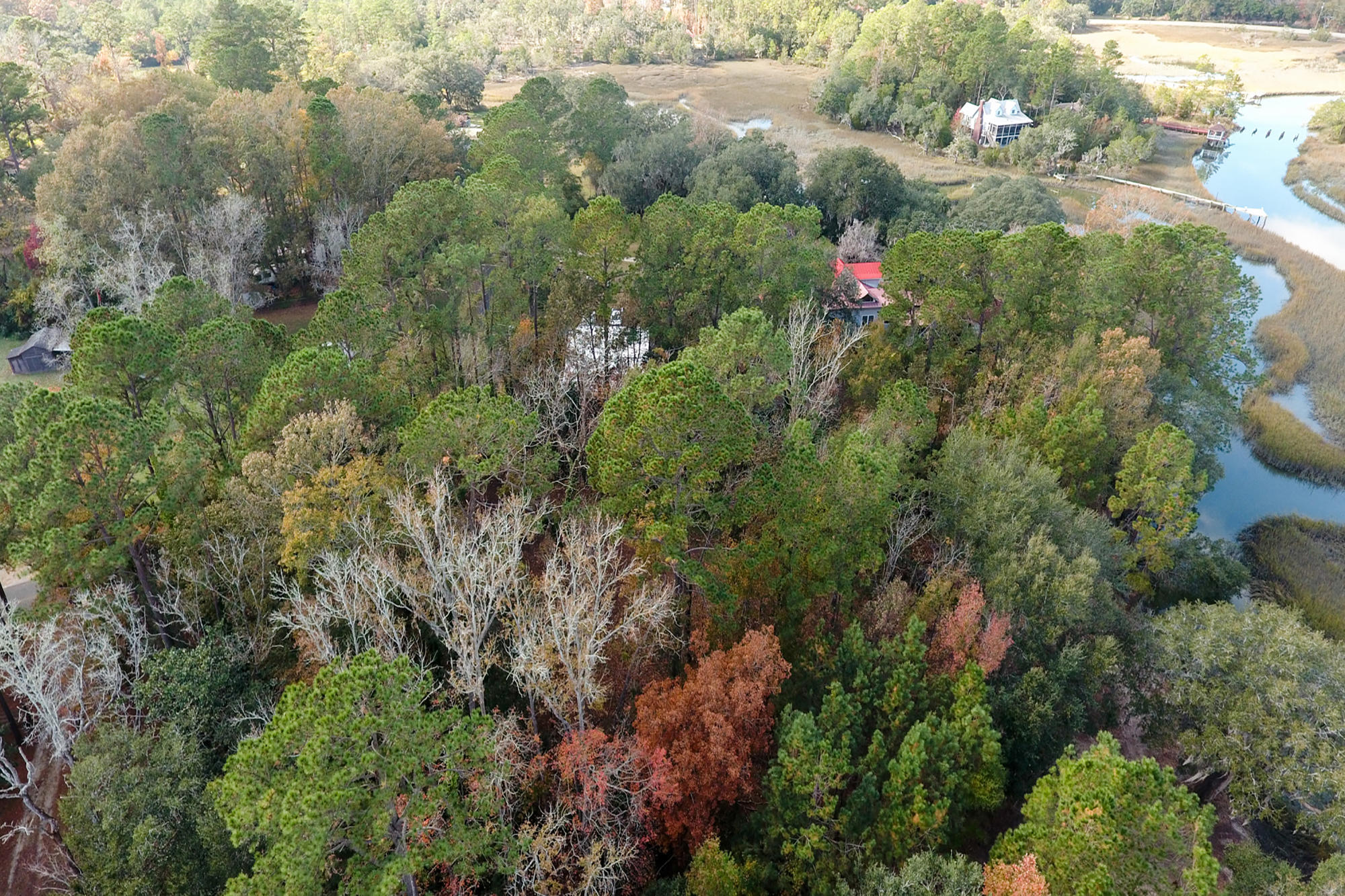 7277 Commodore Road Hollywood, SC 29449 - Photo 19 of 30 22