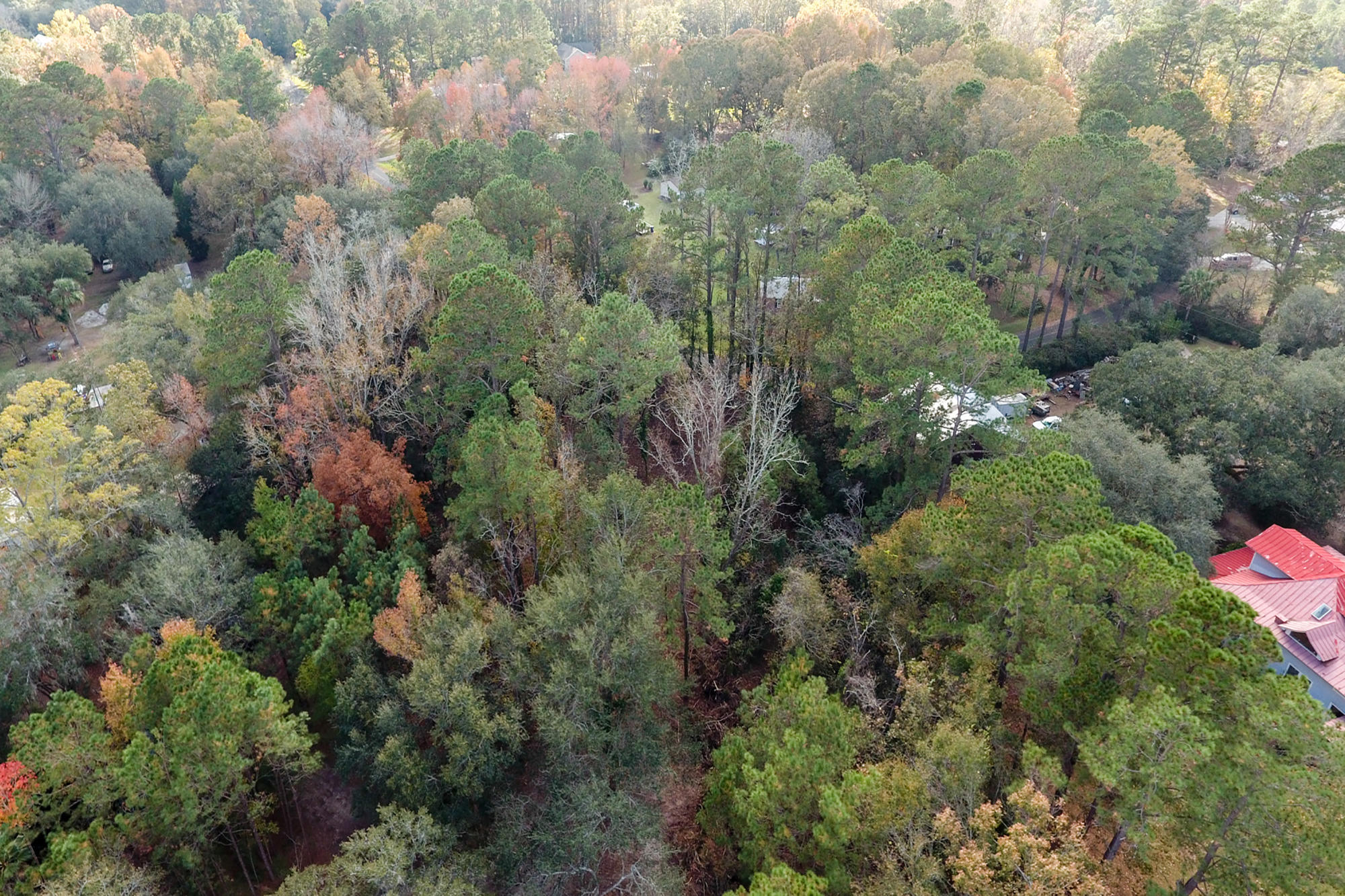 7277 Commodore Road Hollywood, SC 29449 - Photo 21 of 30 24
