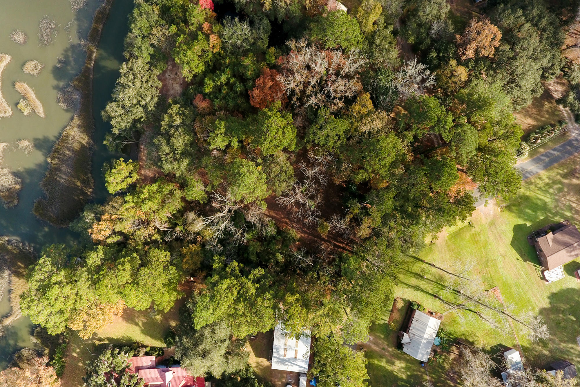 7277 Commodore Road Hollywood, SC 29449 - Photo 27 of 30 30
