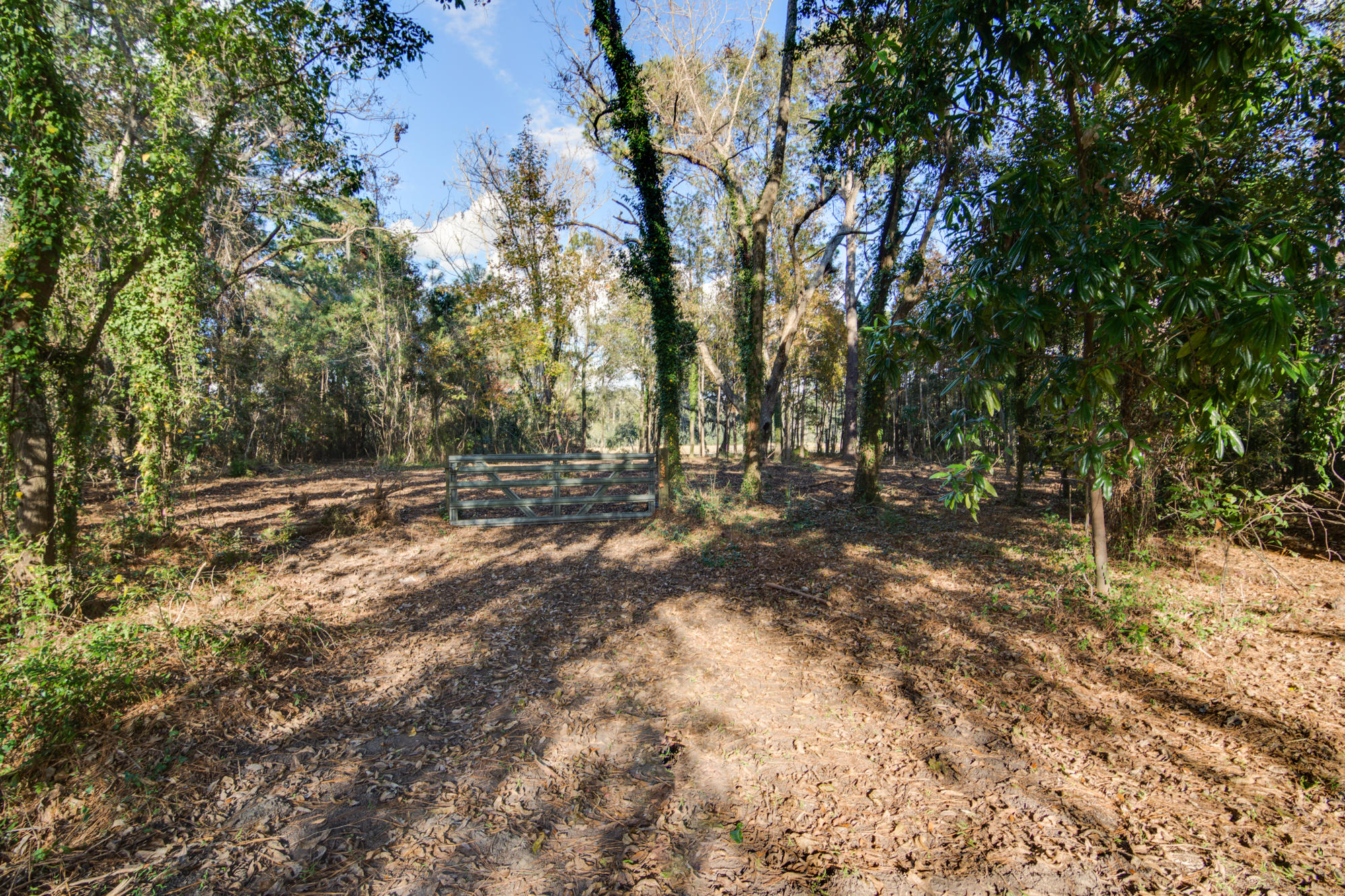 7277 Commodore Road Hollywood, SC 29449 - Photo 5 of 30 1