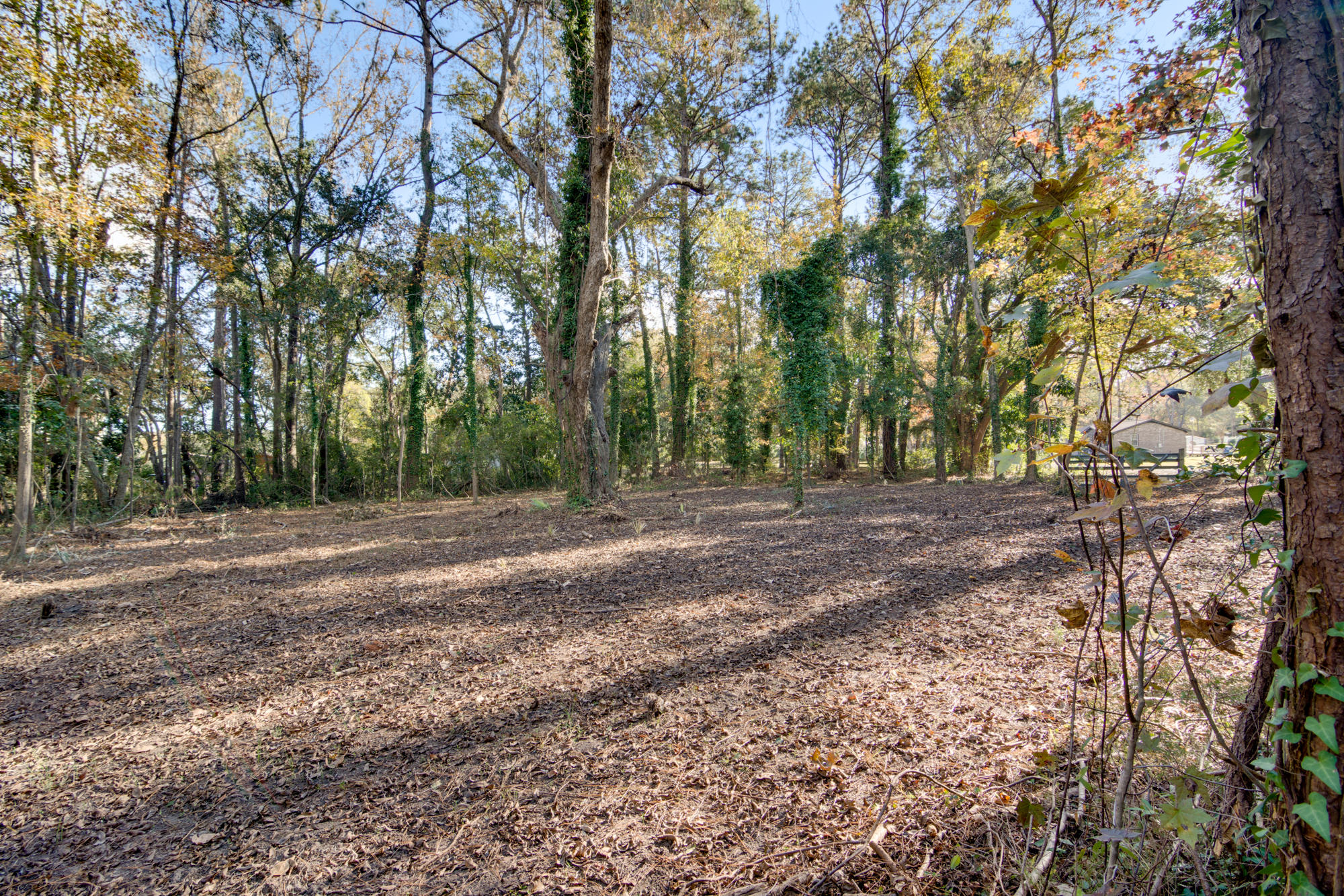 7277 Commodore Road Hollywood, SC 29449 - Photo 7 of 30 2