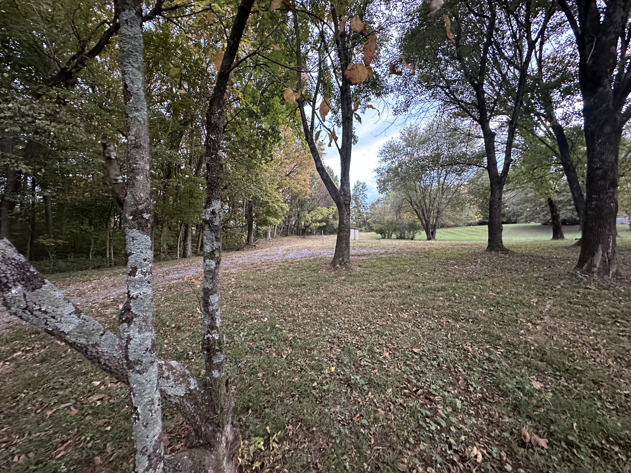 6371 Gum Station Road Springfield, TN 37172 - Photo 12 of 16 a view of empty space with tree s