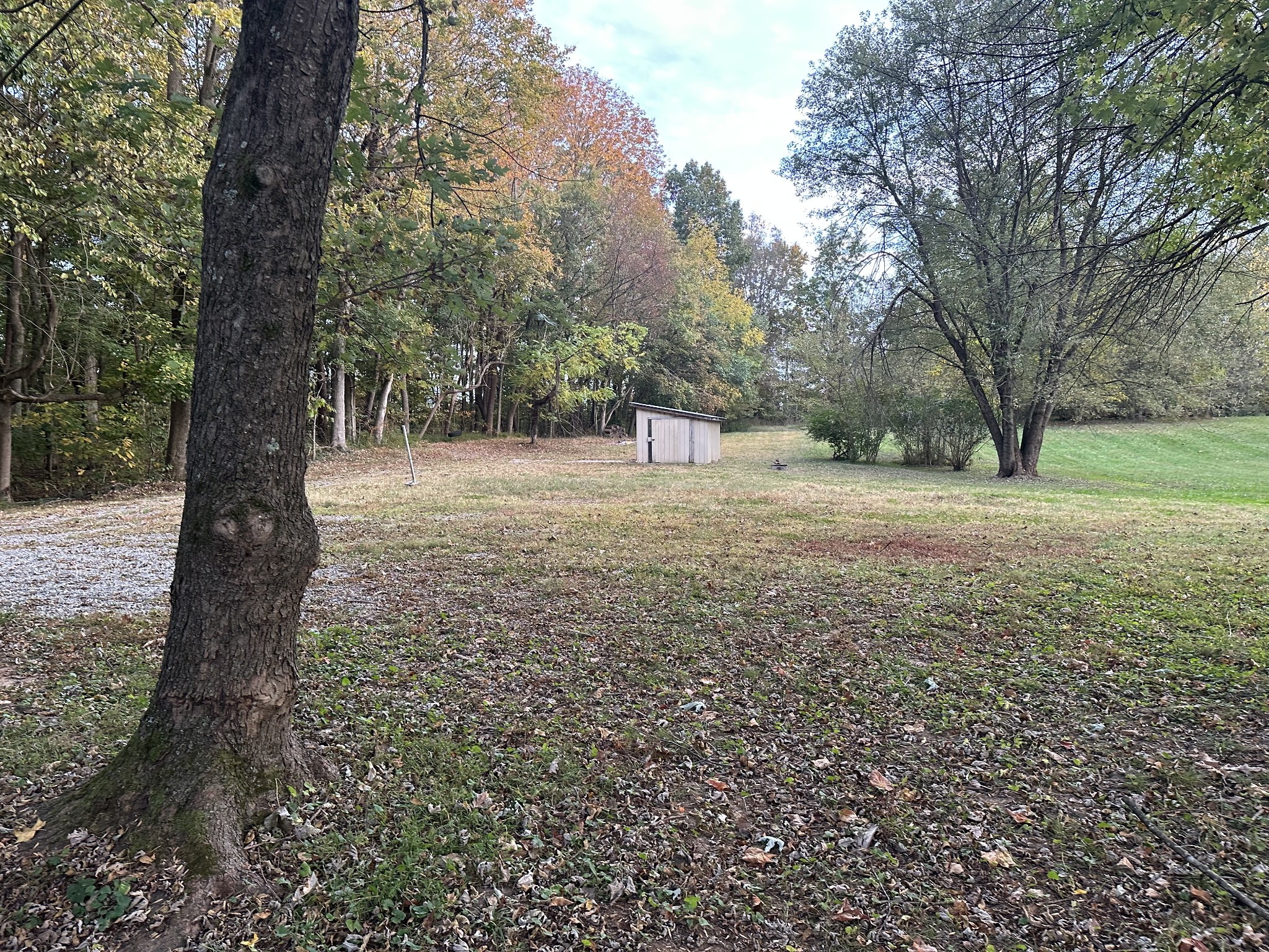 6371 Gum Station Road Springfield, TN 37172 - Photo 4 of 16 a view of a yard with a tree
