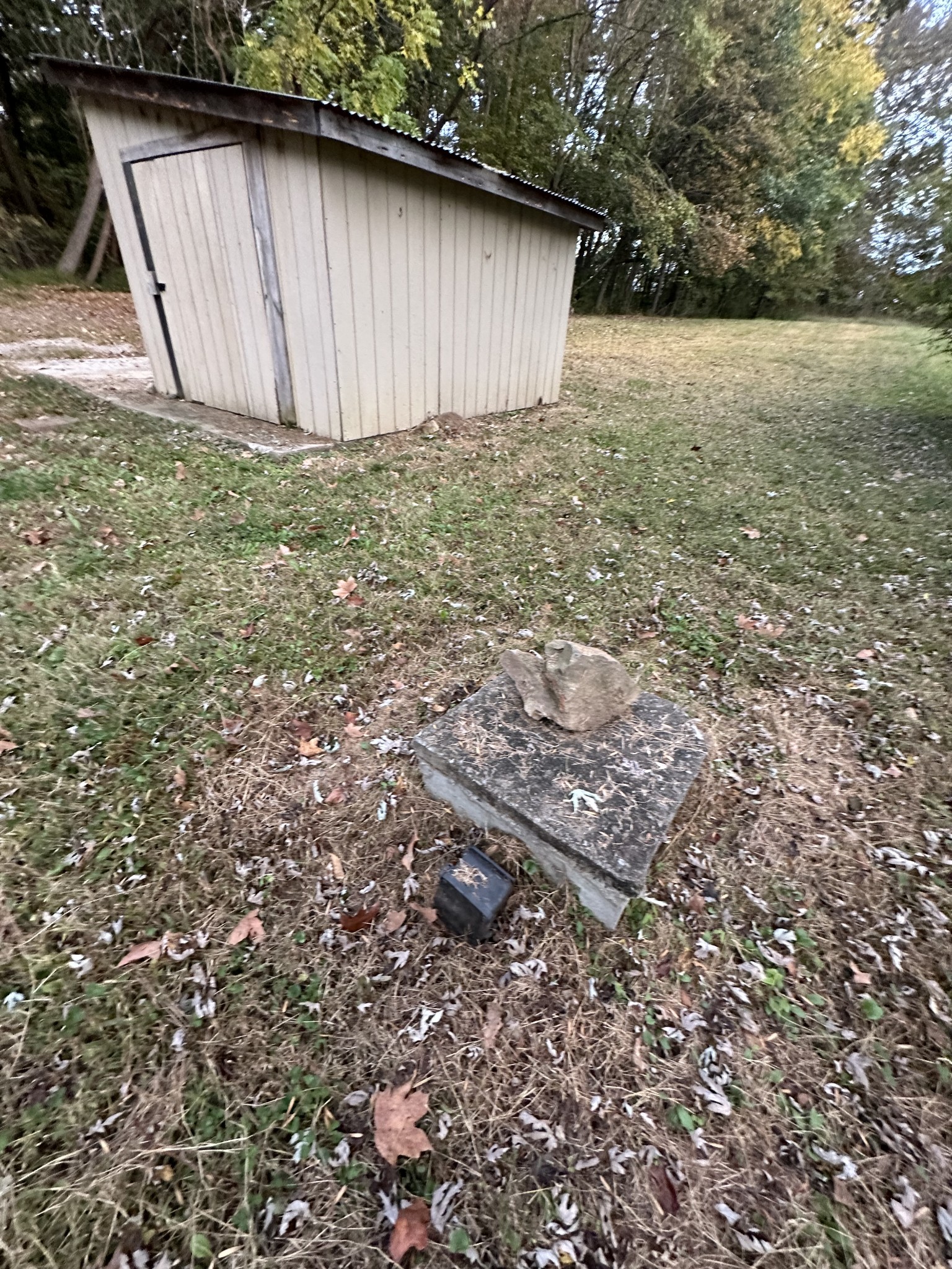 6371 Gum Station Road Springfield, TN 37172 - Photo 8 of 16 a backyard of a house
