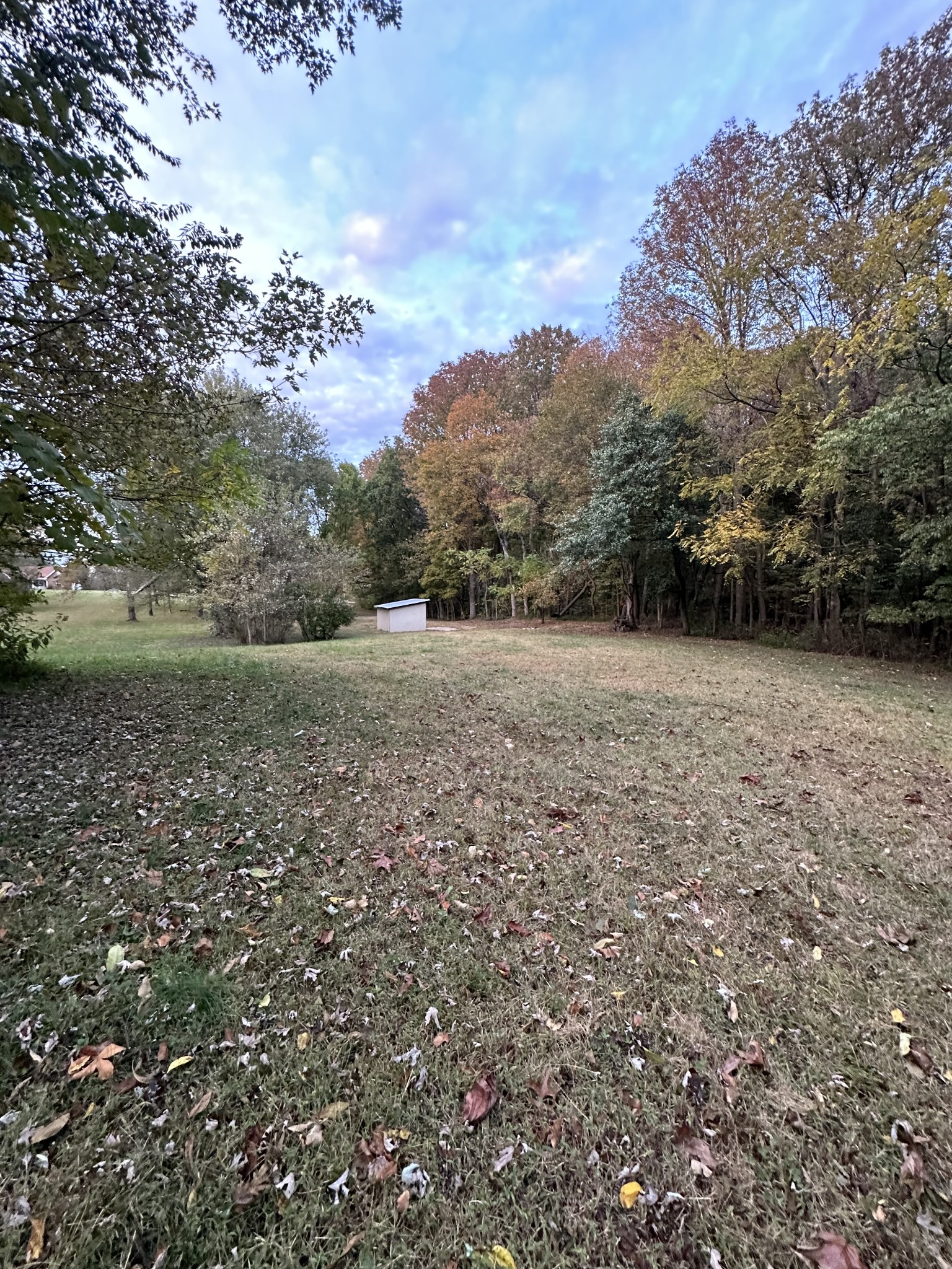 6371 Gum Station Road Springfield, TN 37172 - Photo 10 of 16 a view of backyard with green space