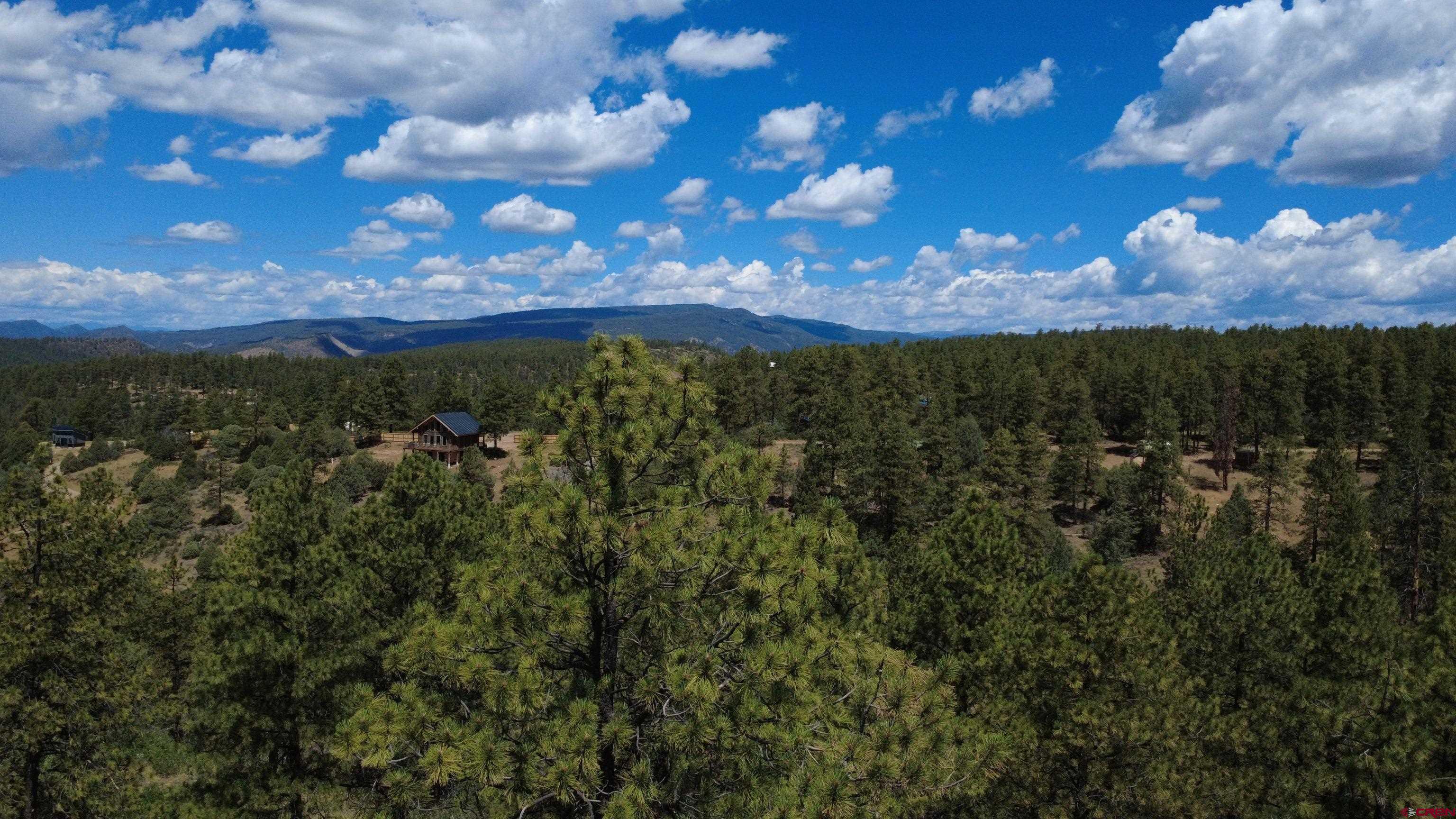 121 Engineer Point Pagosa Springs, CO 81147 - Photo 2 of 43
