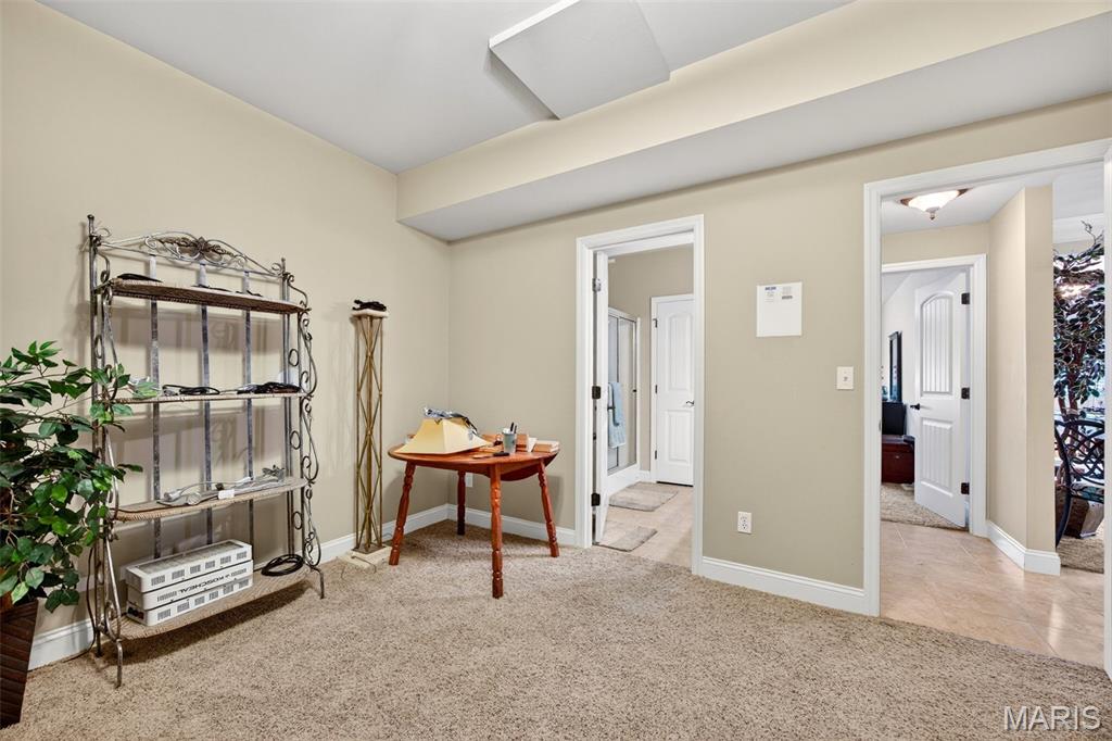 906 Daffodil Ridge Drive O'Fallon, MO 63366 - Photo 42 of 52