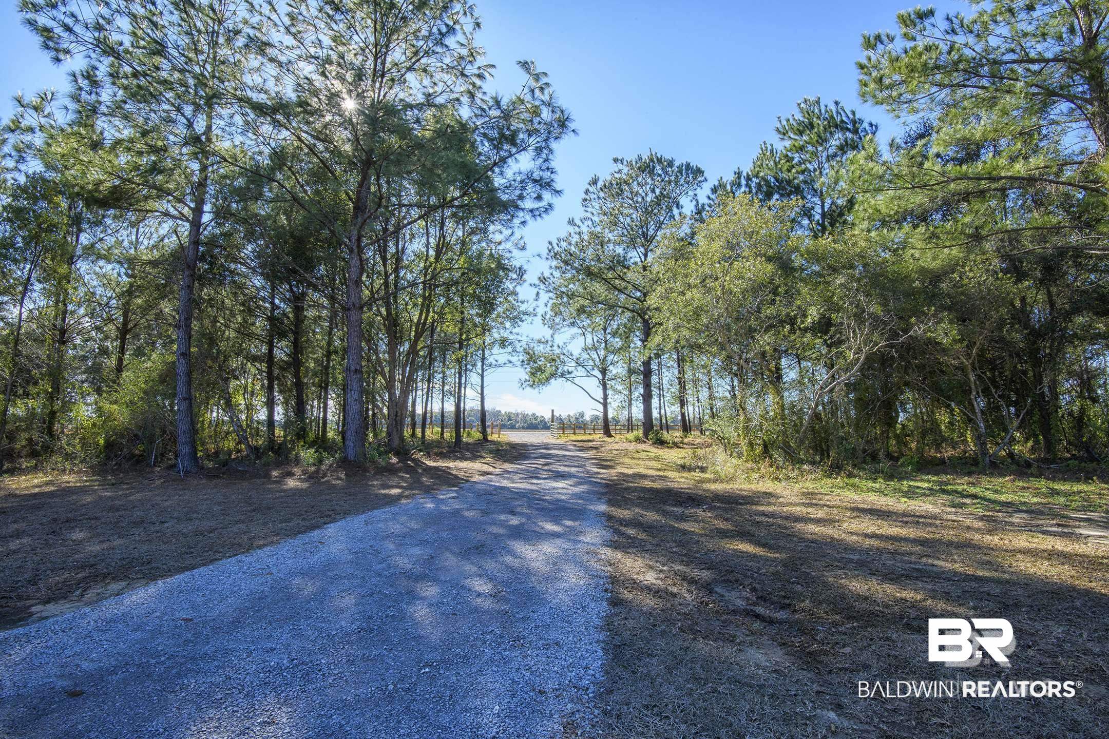 9538 Vernant Park Road Foley, AL 36535 - Photo 6 of 6 View of road