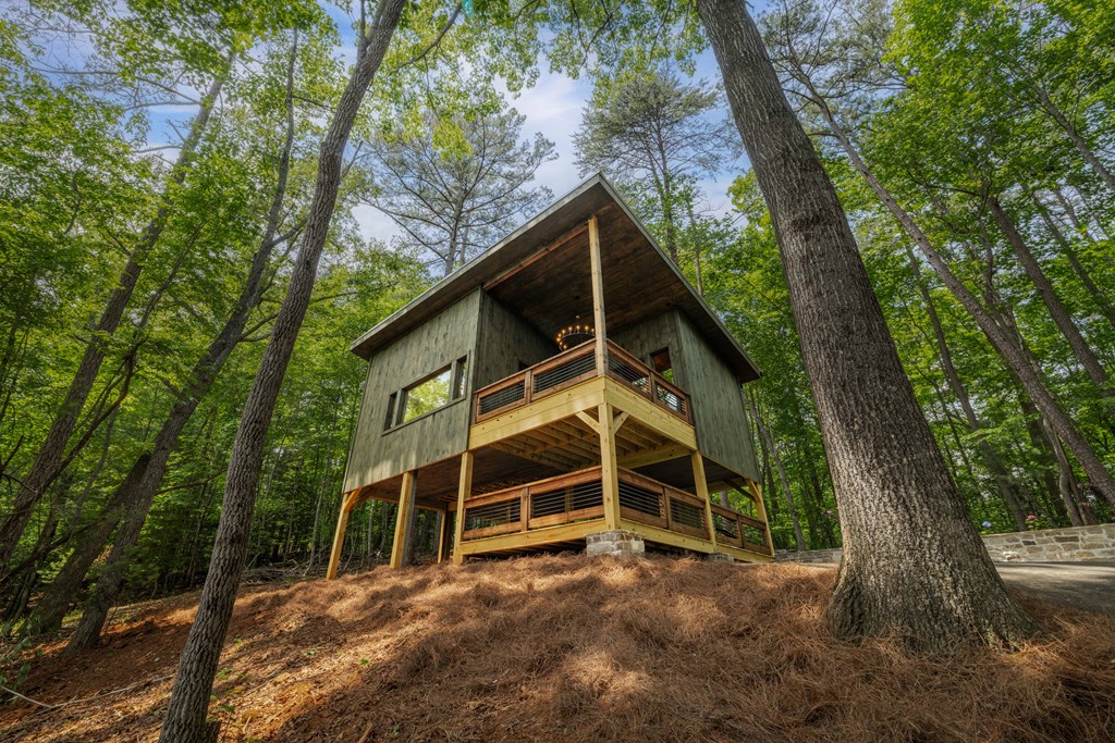 190 Laurel Crossing Blue Ridge, GA 30513 - Photo 25 of 30