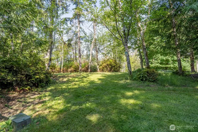 a view of yard with trees