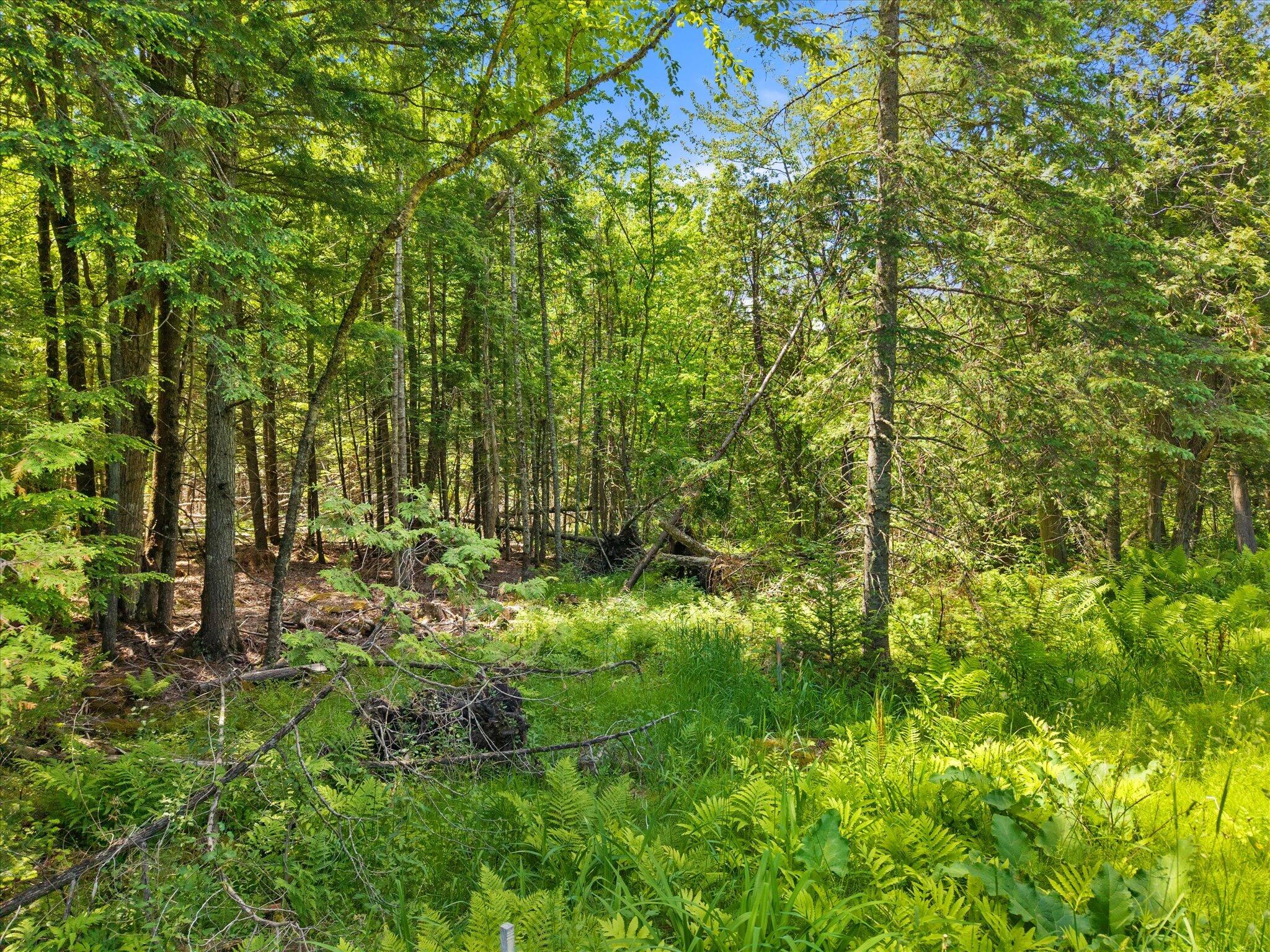 0 Stetson Road East Levant, ME 04456 - Photo 15 of 17 15-Stetson Rd E