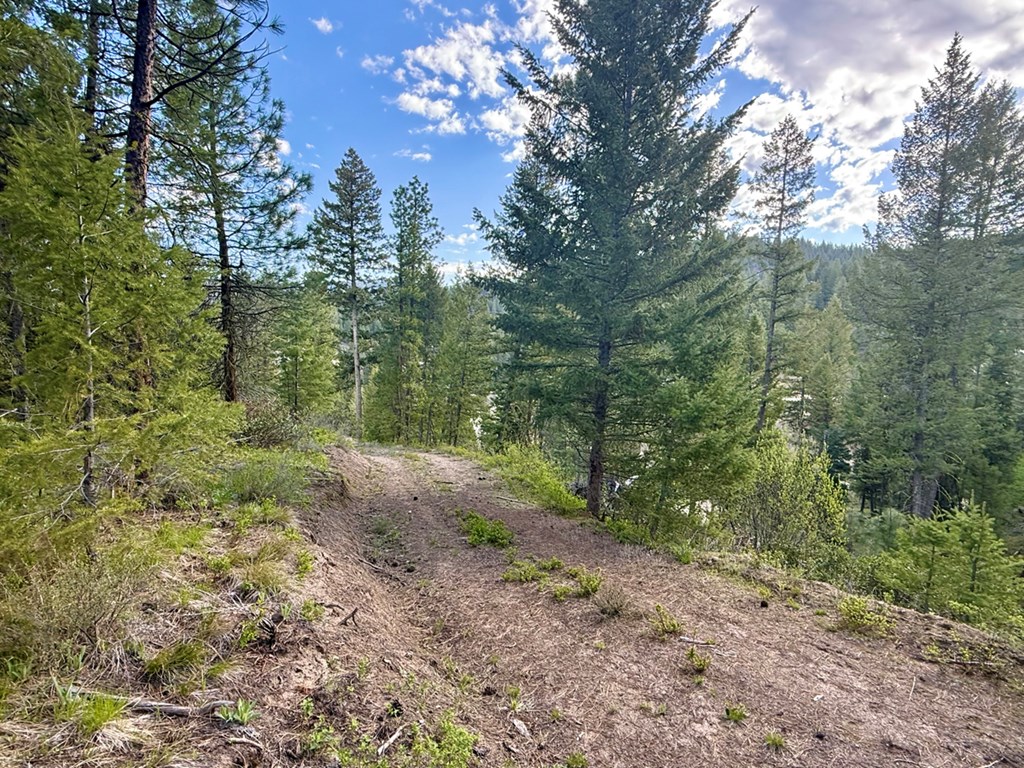 38 San Ignacio Way, Unit 3 Cascade, ID 83611 - Photo 16 of 21 Shared Driveway on East Side