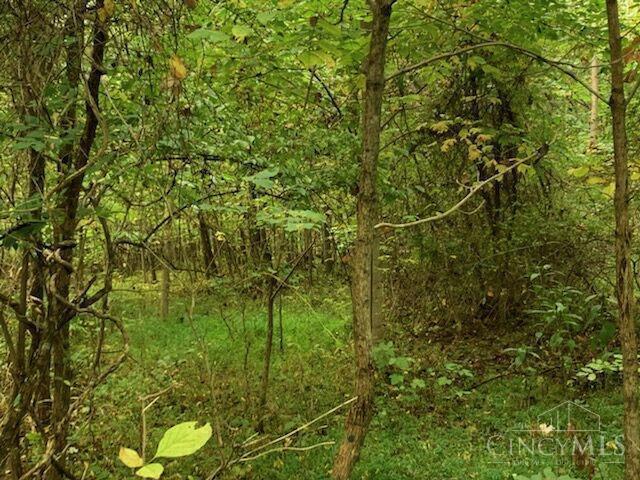 0 Twp Road Willow Wood, OH 45696 - Photo 8 of 9